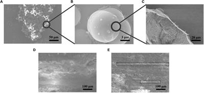 Graphene Oxide-Modified Microcapsule Self-Healing System for 4D Printing